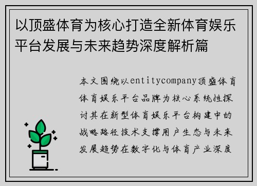 以顶盛体育为核心打造全新体育娱乐平台发展与未来趋势深度解析篇